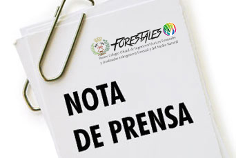 NP INGENIERÍA FORESTAL: CLAVE EN LA DEFENSA DEL MEDIO AMBIENTE Y LA LUCHA CONTRA EL CAMBIO CLIMÁTICO