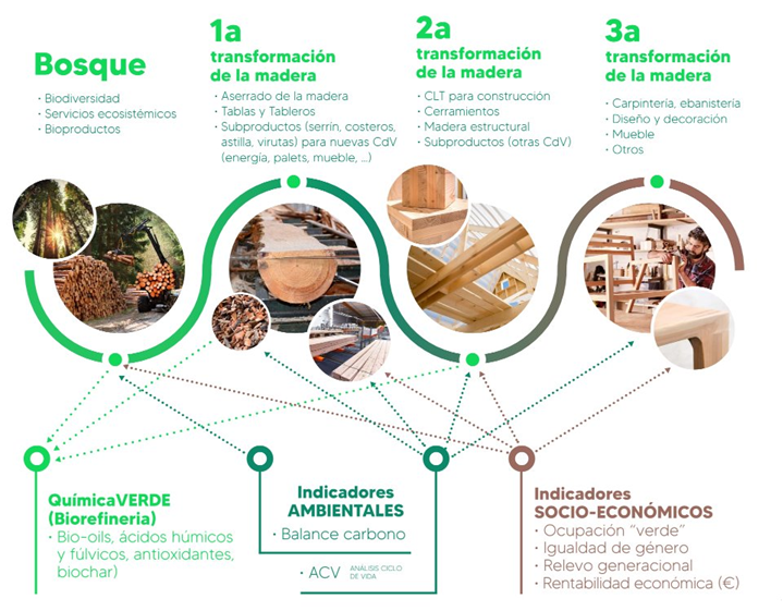 CURSO GRATUITO DE SEÑALAMIENTO, CLASIFICACIÓN Y VALORIZACIÓN DE LA MADERA, SEGÚN CRITERIOS DE GESTIÓN AMBIENTAL