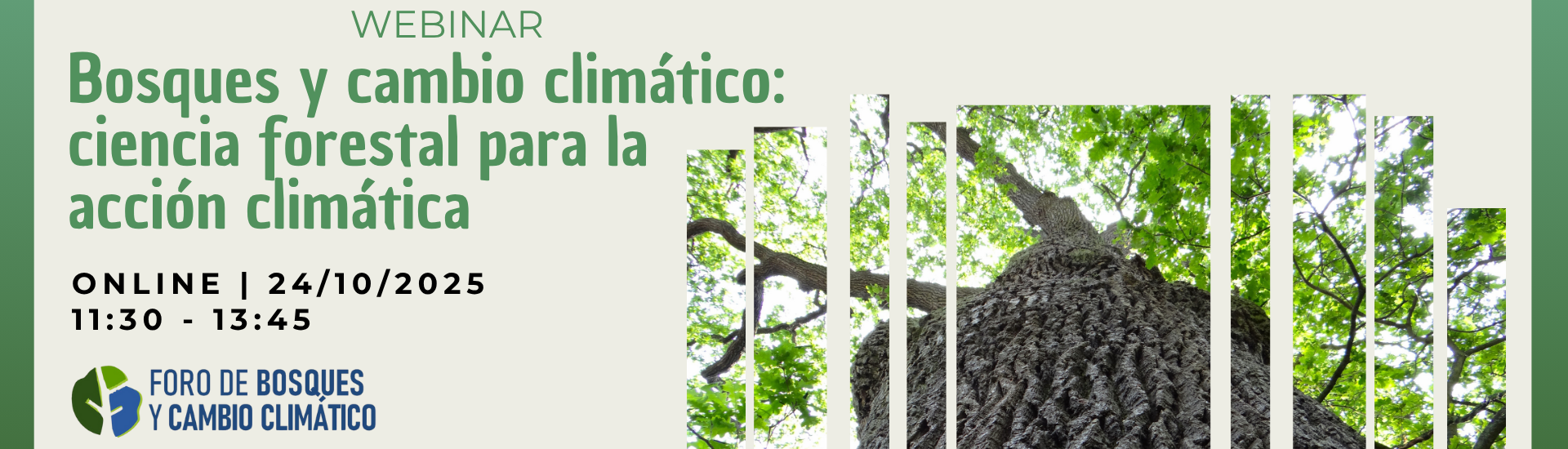 WEBINAR “BOSQUES Y CAMBIO CLIMÁTICO: CIENCIA FORESTAL PARA LA ACCIÓN CLIMÁTICA”