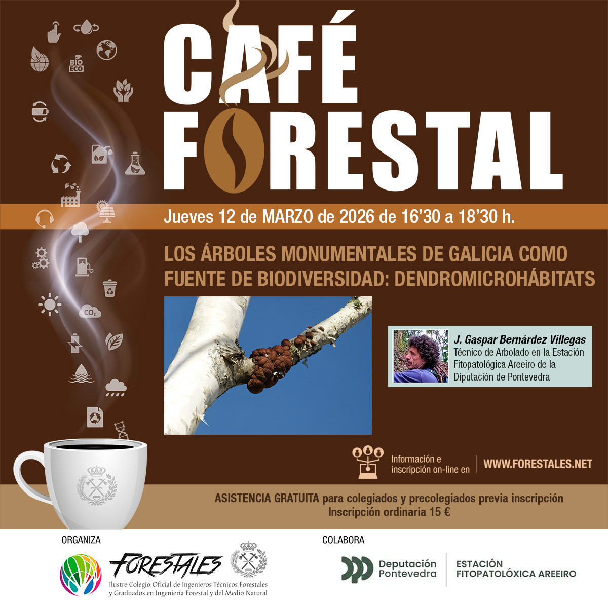 CAFÉ FORESTAL "LOS ÁRBOLES MONUMENTALES DE GALICIA COMO FUENTE DE BIODIVERSIDAD: DENDROMICROHÁBITATS"