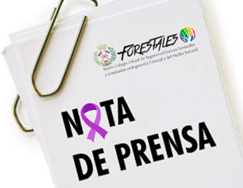 NP LA INGENIERÍA NECESITA MÁS TALENTO FEMENINO PARA AFRONTAR LOS RETOS DEL FUTURO