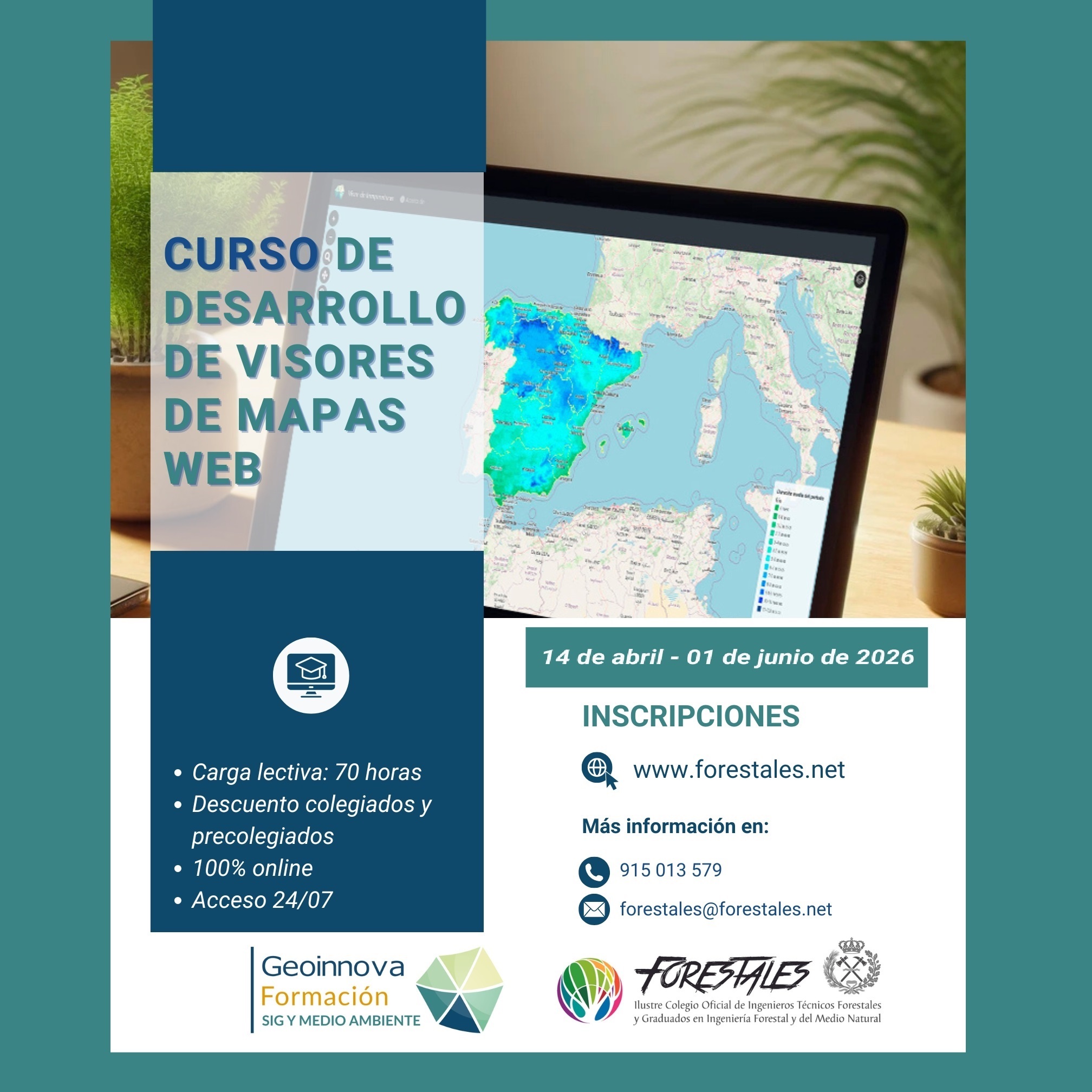 CURSO ON-LINE DE DESARROLLO DE VISORES DE MAPAS WEB