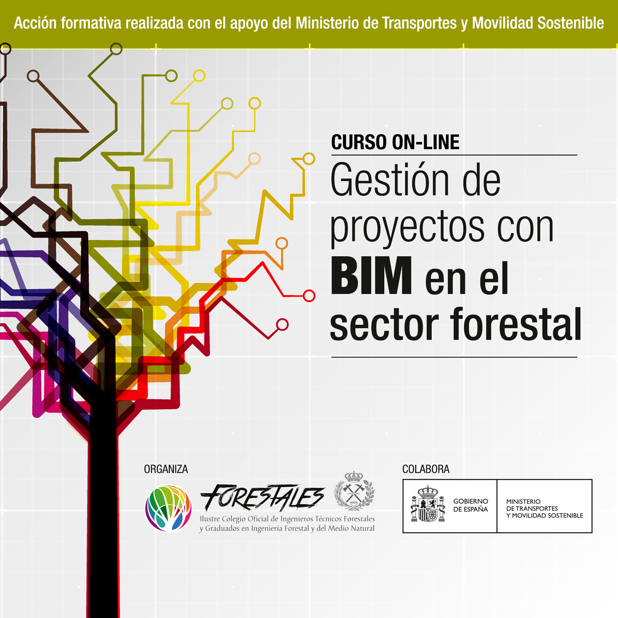 FINALIZA UNA NUEVA EDICIÓN DEL CURSO DE GESTIÓN DE PROYECTOS CON BIM EN EL SECTOR FORESTAL