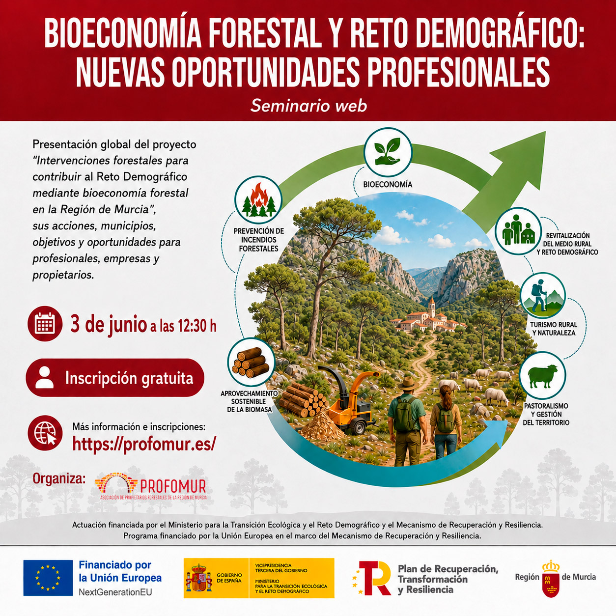 SEMINARIO WEB "BIOECONOMÍA FORESTAL Y RETO DEMOGRÁFICO: NUEVAS OPORTUNIDADES PROFESIONALES"