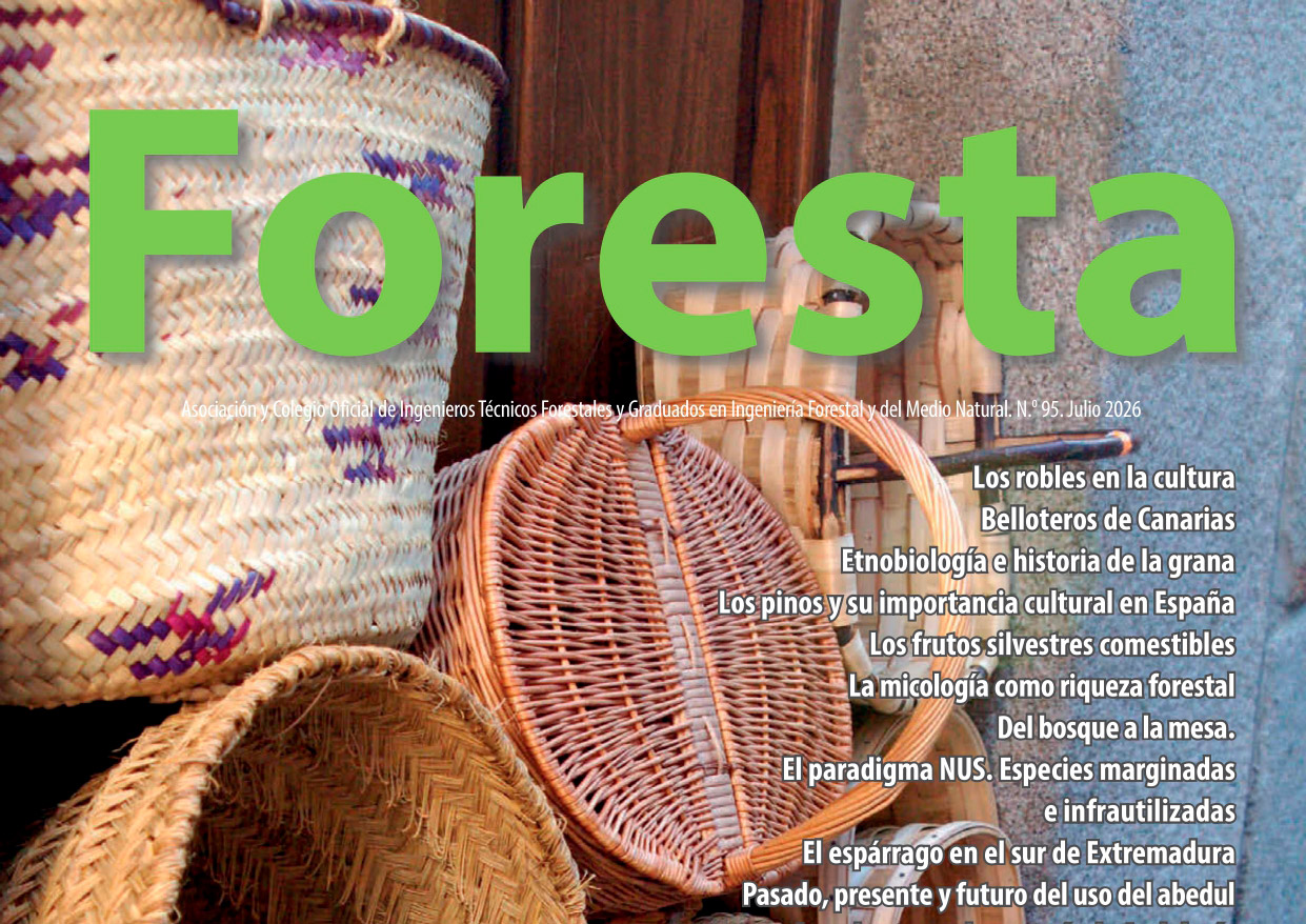 YA ESTÁ DISPONIBLE EL Nº 95 DE FORESTA PARA SU CONSULTA ELECTRÓNICA
