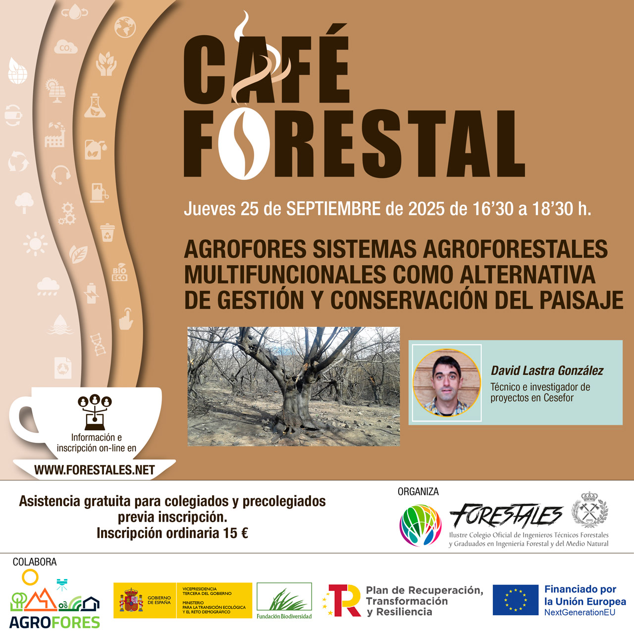 CAFÉ FORESTAL "AGROFORES SISTEMAS AGROFORESTALES MULTIFUNCIONALES COMO ALTERNATIVA DE GESTIÓN Y CONSERVACIÓN DEL PAISAJE"