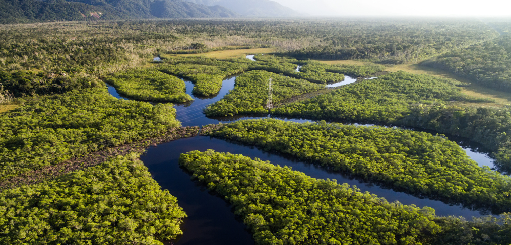 MEDIDAS PROPUESTAS PARA ASEGURAR LA IMPLEMENTACIÓN PUNTUAL DEL MARCO DE LA UE CONTRA LA DEFORESTACIÓN - EUDR