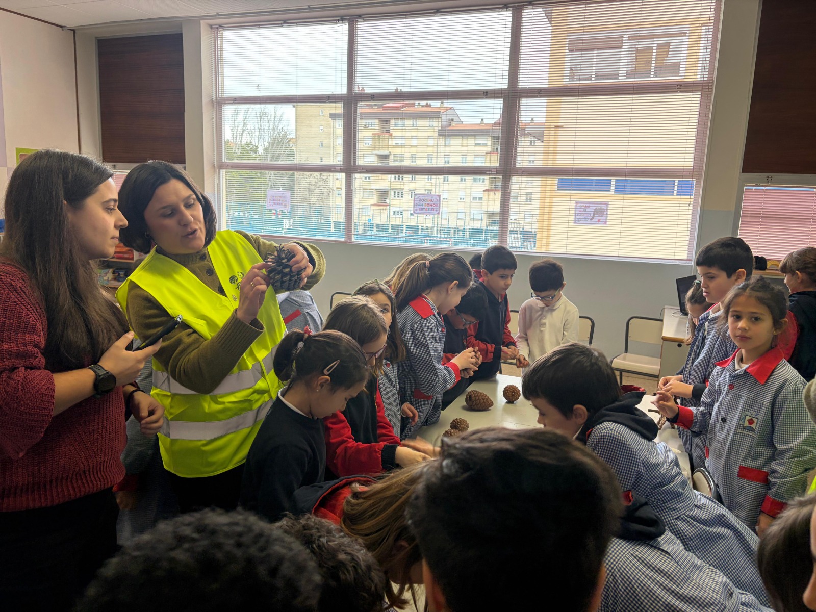 TALLER “CONOCE EL VALOR DE NUESTROS BOSQUES” EN EL COLEGIO SAGRADO CORAZÓN-CORAZONISTAS DE VALLADOLID