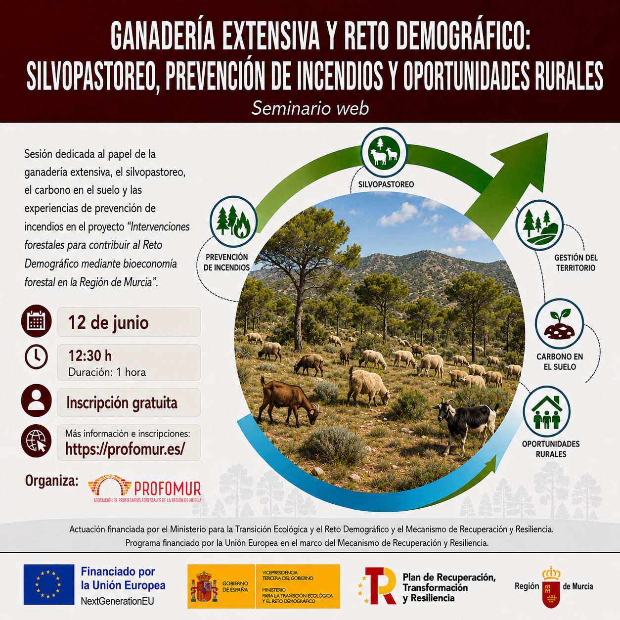 SEMINARIO WEB "GANADERÍA EXTENSIVA Y RETO DEMOGRÁFICO: SILVOPASTOREO, PREVENCIÓN DE INCENDIOS Y OPORTUNIDADES RURALES"