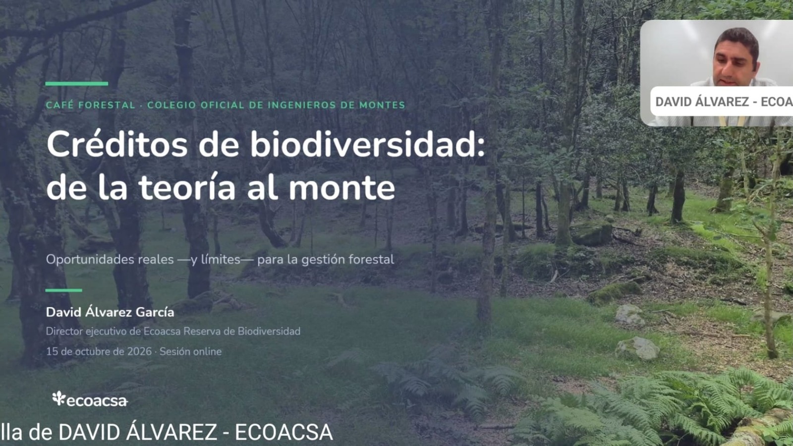 LOS CRÉDITOS DE BIODIVERSIDAD ABREN NUEVAS OPORTUNIDADES DE FINANCIACIÓN PARA LA GESTIÓN FORESTAL, AUNQUE TODAVÍA EXISTEN IMPORTANTES INCERTIDUMBRES