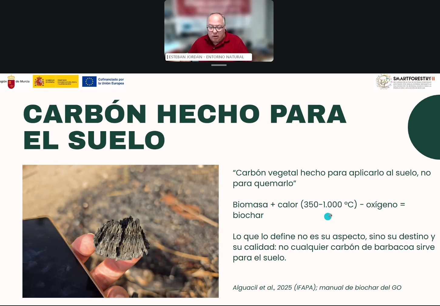 LA BIOMASA DE LOS ÁRBOLES MUERTOS POR LA SEQUÍA PODRÍA AYUDAR A RECUPERAR LOS MONTES MEDITERRÁNEOS