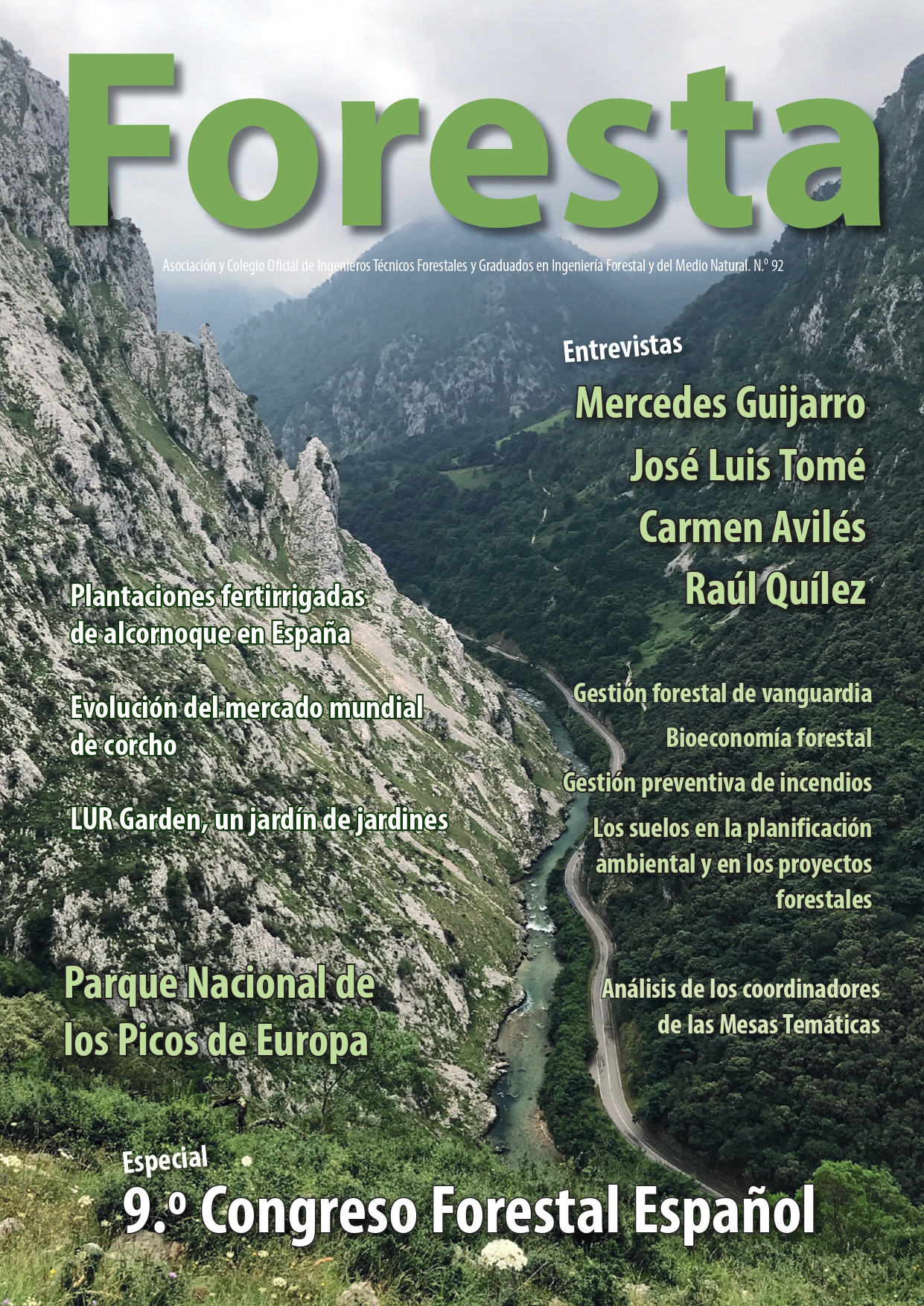 ESPECIAL 9º CONGRESO FORESTAL ESPAÑOL